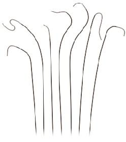 Діагностичний ангіографічний катетер Ursa, 6F Headhunter 3, довжина 100 cm (см) (Виробник: Curatia)